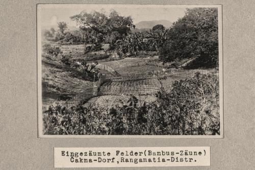 181.JPG